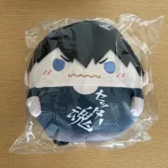 2025年最新】影山飛雄 ふわコロりんの人気アイテム - メルカリ