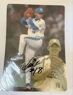 2025年最新】割引オプション：通常商品 スポーツ選手の人気アイテム