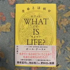 Item thumbnail for item 18be47ca-d98b-4f19-a4bf-8f03073fec05