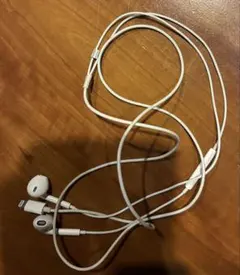 アップル　ライトニング　イヤホンのサムネイル