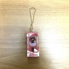 サンリオキャラクターズ だいすきリカちゃん ミニチュアパッケージコレクション