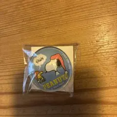 バンダイナムコ　スヌーピー　ガラス　マグネット　ピーナッツ