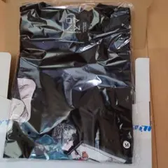 ダウ90000 ロマンスTシャツМsize KINTETSU ArtMusium