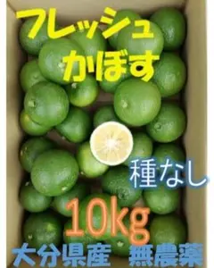 masaさまご予約専用品 大分県名産フレッシュかぼす 10kg 種なし①