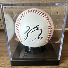 Item thumbnail for item 9f62f74b-8df1-4fc5-81db-d9c7e6bc42d0