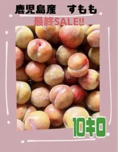 SALE: 奄美産完熟 すもも10キロ加工用クール便 - メルカリ