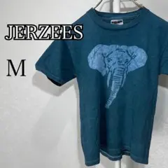JERZEESジャージーズ　キッズ半袖Tシャツ　M くすみブルー　綿100%のサムネイル