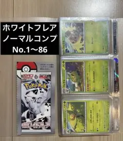 ホワイトフレアノーマルコンプ