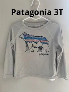 patagonia 長袖　ラッシュガード　3T