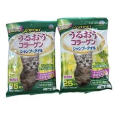 Item thumbnail for item 1d33adde-2ddf-4e28-9ee5-61cc87ebbd82