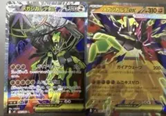 メガジガルデEX SR RR