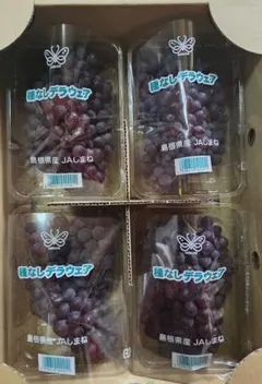 島根県産　ぶどう　デラウェア　4パックセットのサムネイル