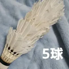 2025年最新】バドミントン シャトル ヨネックス ニューオフィシャルの