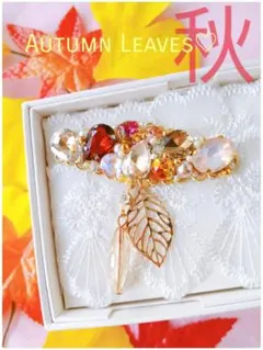 こちらラスト♪送料込【B級品】秋♡Autumn Leaves★大人ブラウン