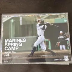 千葉ロッテマリーンズ　岡大海　ポスター