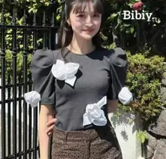 Bibiy 正規品 ローズ刺繍 パフスリーブ トップス ブラック - メルカリ