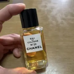 未使用品CHANEL N°22 Eau de Toilette 50ml - メルカリ