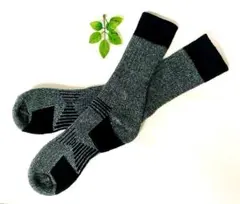 Item thumbnail for item 99376a72-e847-40d7-a371-992813cca0a4