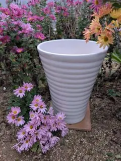植木鉢 2ツセット ホワイト 陶器製 大型 胡蝶蘭 | Mercari