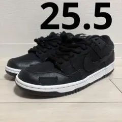 NIKE SB DUNK LOW PRO Wasted Youth