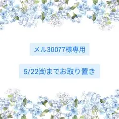 レジンヘアゴム ポニーフック ドライフラワー No.429 - メルカリ