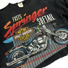 希少 80's Harley-Davidson vintageトレーナーのサムネイル