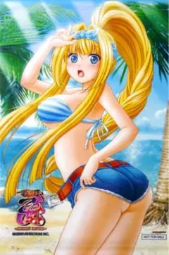 戦国乙女 足利ヨシテル A3タペストリー ゲーマーズ特典
