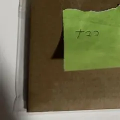 ナマコ