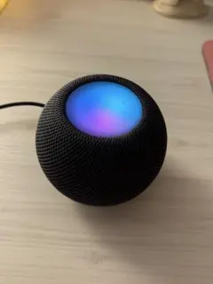 Apple Pod mini スペースグレイ 動作確認済み review_722250_f.jpg