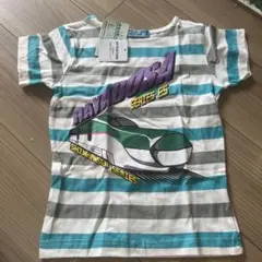 新幹線　Tシャツ 子供用　はやぶさ