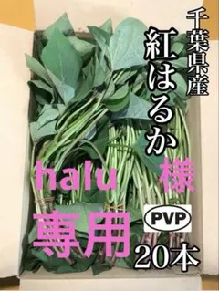 halu　様　専用