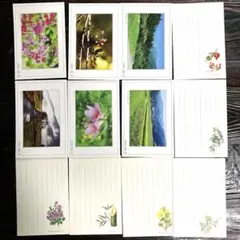 絵はがき12枚 まとめ売り