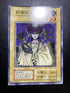 エラーカード 遊戯王 緑樹の霊王 初期スターターボックス - メルカリ