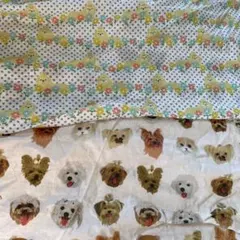 犬生地二枚マルチーズ生地