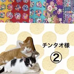 猫首輪 レース 付きリボン＋セーフティバックル ⑩-LRE1-3