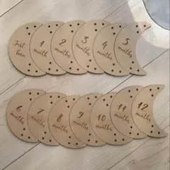 Item thumbnail for item eb458160-03b9-4bc8-a7c5-23bb8411f2ae