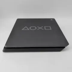 21015✨PlayStation 4 Limited 1TB 本体のみ