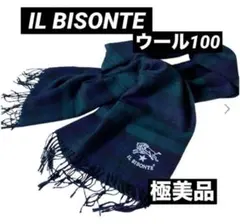 Item thumbnail for item 04a8c828-5567-465c-8600-b0fbcf2e619e