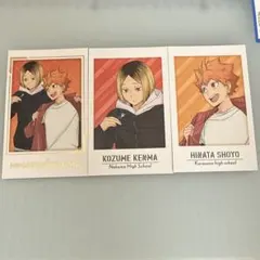 ハイキュー キャラポトレ 日向翔陽 孤爪研磨 3枚セット