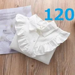 式服 フォーマル♡シンプルなレース襟！女の子ブラウス♪シャツ 襟付 長袖 110