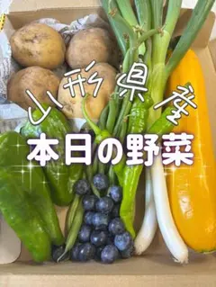 山形県産　本日の野菜　詰め合わせのサムネイル