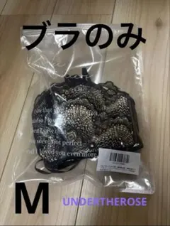 Item thumbnail for item cb886d41-99c5-4ea9-bfdb-d4645bc2045e