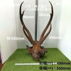 2025年最新】鹿 角 オブジェの人気アイテム - メルカリ