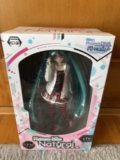 し*❌様 【未開封】初音ミク Project DIVA ナチュラルフィギュア