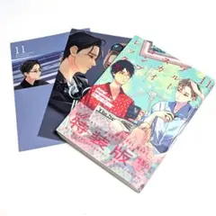ブルースカイコンプレックス11　初回限定小冊子付特装版　市川けい　アニメイト