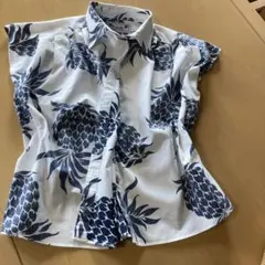 Item thumbnail for item b9f7060e-7f2d-4f18-bdb2-ee41d36973aa