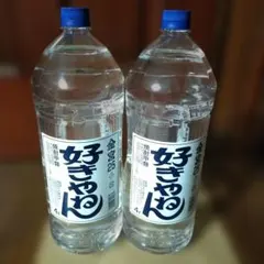 Item thumbnail for item 516e238d-fd72-4bfe-a871-2cfcca7cab64