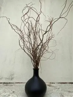 Item thumbnail for item 9578feff-f7da-452e-96d7-d3b81d1a07fa