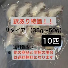 YSR工房様 リクエスト 2点 まとめ商品