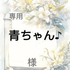 青ちゃん♪ 様　専用